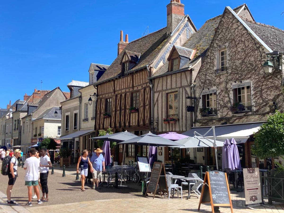 L'Amboisienne, Au Pays Des Chateaux Amboise Ngoại thất bức ảnh